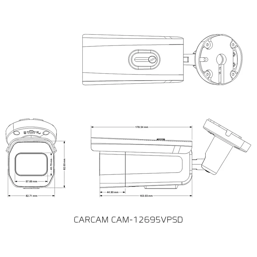 Сетевая IP-камера видеонаблюдения CARCAM CAM-12695VPSD 12 Мп