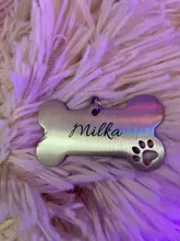 Anti-perdido personalizado Pet ID Tag perro Collar de identificación de mascotas nombre de gato para gato Collar de cachorro etiqueta colgante accesorios Collar mascotas