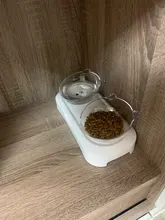 Cat-Bowls Raised-Stand Pet-Supplies Cats-Dogs-Feeders Pet-Food Non-Slip with 