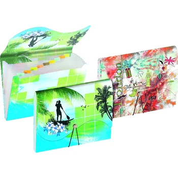 

Folder-recorder Brunnen, A4, 10 compartments, plastic A4