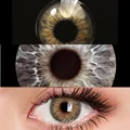 Brown hazel
