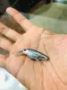 Изображение товара 2