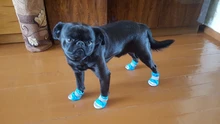 Pet-Boots Cat-Shoes Dog Small-Dogs Puppy-Socks Protecters Rain-Snow Anti-Slip Winter