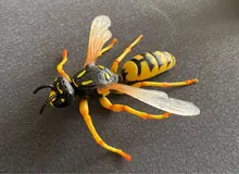 Figuras de simulación nueva para niños, modelo de animales, abejas, avispas, miniinsectos, juguetes cognitivos, juguetes educativos para edades tempranas