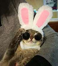 Glasses Props-Accessories Pet-Products Pet-Supplies Photos Cat Little Toy for Dog Eye-Wear