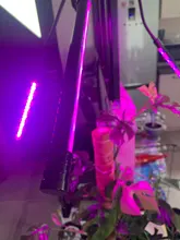 Phyto-Lamp Grow-Light Flower Seedlings Goodland USB Full-Spectrum For Plants LED 