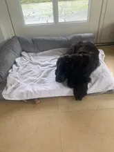 Cushion Detachable-Mat Pillow-Machine Bed Cat-House L-Shaped Puppy-Medium Large Dog Soft