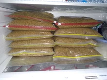 Fish-Tank Pills Algae Aquarium Tropical-Catfish Spirulina Wafer