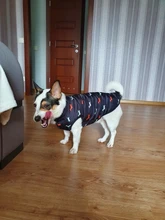 Pet Dog Winter Coat Small Dog Clothes Warm Dog Jacket Puppy Outfit Dog Coat Chihuahua