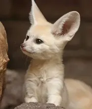 E14 Chandelier-Lights Corn-Bulb Led-Lamp Mini 5W 240V 220V 75-Smd2835 2pcs/Lot High-Quality