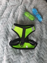 Cat-Harness Leash Mesh Bulldog Cats Small Dog Kitten Chihuahua French Breathable Nylon