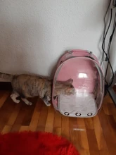 Cat Carrier Bags Breathable Pet Carriers Small Dog Cat Backpack Travel Space Capsule