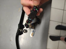 Cats Collar Necklace Bell Breakaway Kitty Custom Quick-Release Safety Personalized Puppy