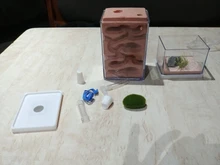 Minipiedras de musgo para granja de hormigas, herramienta de decoración ecológica de nido de hormiga para casa de hormigas, 1 Uds.