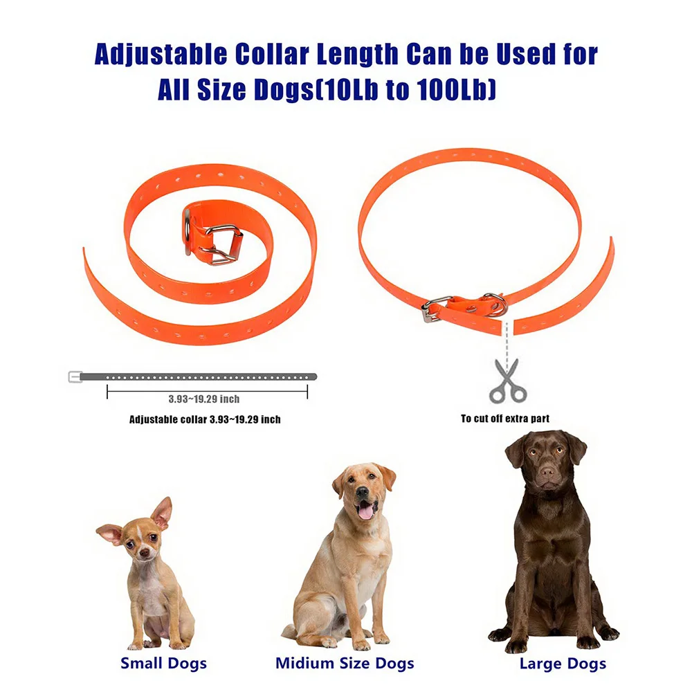 shock collar for 10lb dog