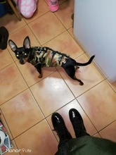 Chaqueta para perro impermeable de invierno, diseño de camuflaje, chaqueta de perro pequeño, Chihuahua, Yorkie, tienda de mascotas, XS-L