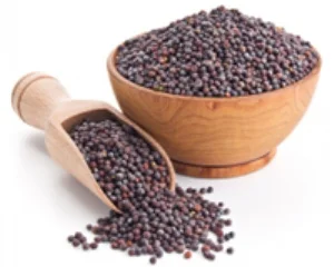 

Grain Black Mustard 1 kg