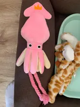 Calamar bonito y pequeño sonido de juguete de perro BB, mascota de peluche, cuerda de perrito, mordedores de juguete con sonido rosa para gato