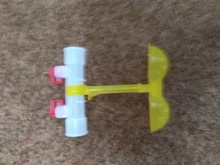 Chicken-Tools Drinking-Cup Water-Bowls Quail Pheasant 40