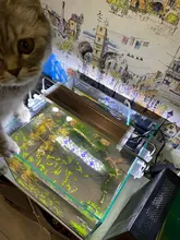 Led-Lighting Aquarium Chihiros Fish-Tank Aquatic-Plant Sunsun Ade Nicrew SMD 18W 220V