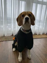 HOOPET Large Coat Down-Jacket Winter New Warm Autumn for Dogs Dog-Prints Overalls Leisure-Style