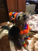 Pet-Puppy-Accessories Socks Hats Cat-Products Dogs-Knitted Small Chihuahua Little Winter