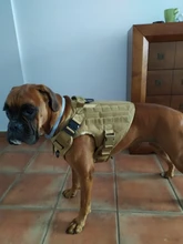 Molle Vest Panels Dog-Harness Dogs Military-Working Training Rubrab Tactical Metal 