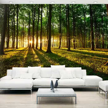 

Wall mural-Mystical Morning - 200x140 cm