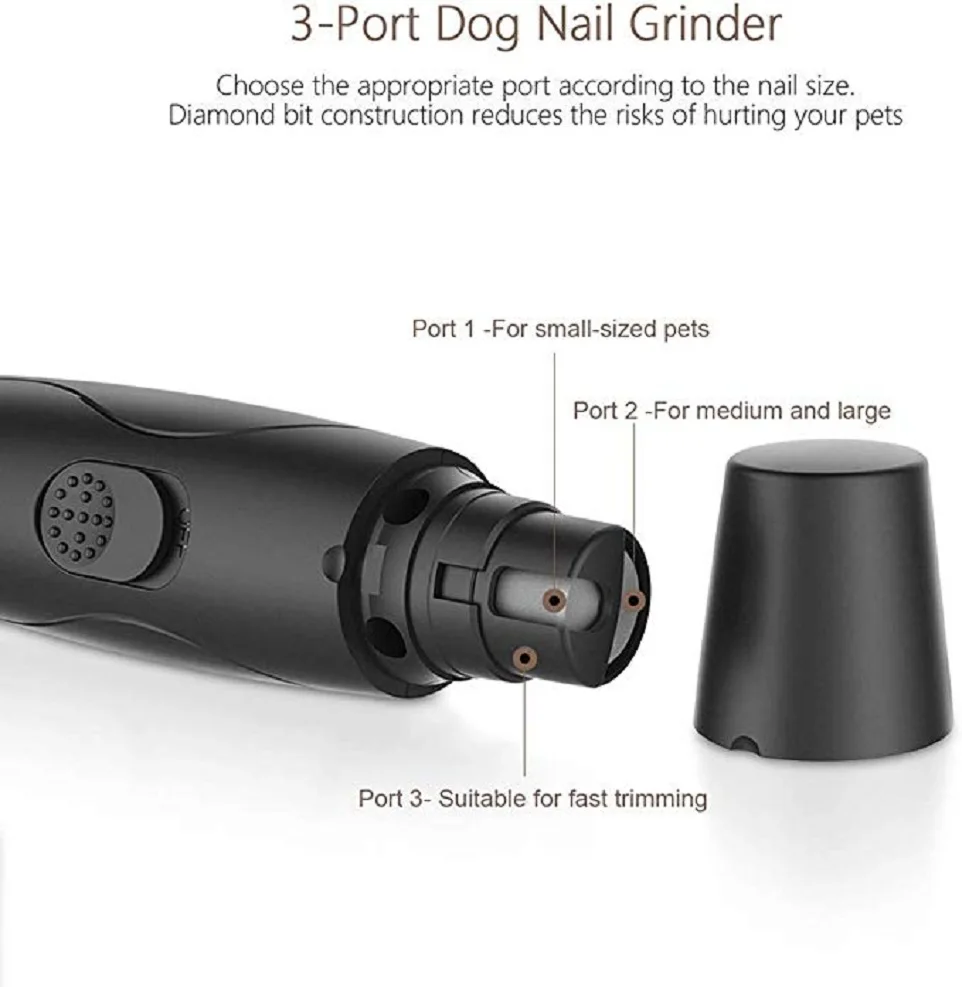 51LNIc7D2HL._AC_SX679_