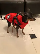 De invierno para mascotas ropa de perro francés mascota Bulldog cálido Chaleco con arnés abrigo perro ropa chaleco pequeño mediano para perros