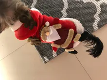 Chaqueta con capucha para perros y gatos, ropa de invierno cálida para perros pequeños y grandes