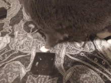 Junction-Box Socket Switch Outfit External Baking 86-Type Flame-Retardant Black Pvc/abs