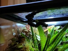 Sprayer Sprinkler-System Automatic-Watering-Potted Aquarium Garden Touch-Screen Tropical-Rain-Forest