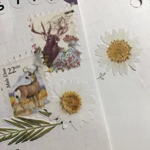 Cinta adhesiva decorativa de plantas y setas, sello Retro serie philatoria, etiqueta adhesiva para álbum de recortes, bricolaje