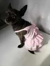Dress Pet-Clothing Puppy-Cat-Dresses Chihuahua Princess Yorkshire Dogs Small Medium 