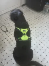 Vest Harness Pet-Dog No-Pull SUPREPET Nylon Adjustable for Large Medium