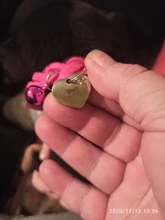 Dog-Collar Engraved Name-Tag Braided Dog Puppy Dogs Small Personalized Free-Bell 