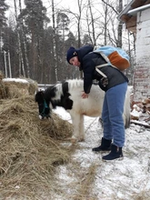 Trousers Harem-Pants Elastic Warm Winter Large-Size Women Loose Cotton Casual Solid Lambskin-Thicker