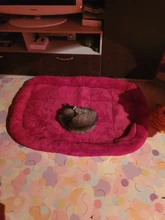 Dog-Beds Cage Lounger Pet-House-Cushion Dogs-Mat Bench-Medium Golden Retriever Large