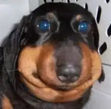 Pinza de dedo portátil para entrenamiento de fuerza banda de resistencia de silicona, agarre de mano, muñeca, Yoga, estirador de dedos, ejercicio, 3/6 Uds.