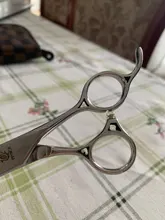 Fenice-Tijeras para perros de compañía Jp440c, herramienta de peluquero para cortar cabello de gatos, con bordes afilados, 7/7 y 5/8 pulgadas