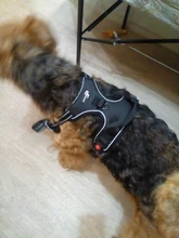 Vest Harness Pet-Dog No-Pull SUPREPET Nylon Adjustable for Large Medium