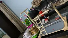 Perch-Stand Ladder Feeder Playground Bird Parrot with Wooden Platform Gym Cups Interactive-Toys