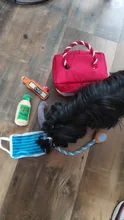 Perro de juguete de Q-MONSTER de peluche juguetes con chirrido para masticar Gabinete de la medicina bolsa de maquillaje lindo rompecabezas interactivo juguetes para mascotas
