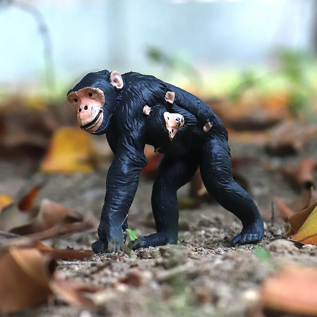 Oenux original selvagem animal figuras de ação macaco chimpanzé orangotango  dourado gibão modelo pvc miniatura crianças