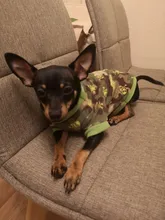 De lana caliente ropa de perro mascota lindo cráneo impreso Pet cachorro camisa para perros chaqueta Bulldog francés Jersey camuflaje perro ropa