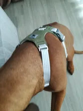 Harness Vest Belt Chest-Strap Dog-Training-Reflective Big-Dogs Adjustable Outdoor 