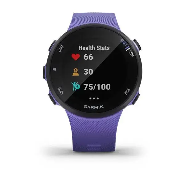 Часы для бега с GPS Garmin Forerunner 45S Ирис|Фитнес-трекеры| |