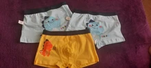 Ropa interior de algodón para niños, pantalones cortos de dibujos animados, bragas para bebés, bóxers a rayas, HH, 3 piezas
