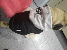 Jacket French Bulldog Dog Winter SUPREPET Coat Pet-Dog Dogs Large Cotton for Warm Perro